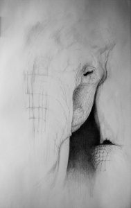 Remember - graphite on archival paper | Drawing Classes Gold Coast | Lucinda's Studio