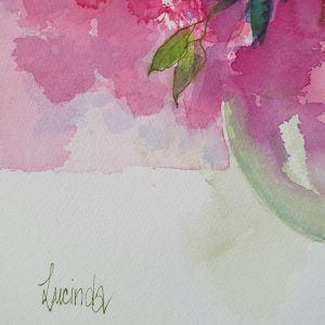 Lucinda Leveille Art | Lucindas Studio| Gold Coast Art | watercolour | australian art | original art | online gallery |