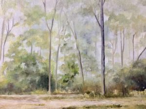 australian scene of the bush with gum trees and hazey atmosphere