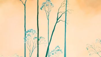 Lucinda Leveille Art | Lucinda's Studio | Above The Canopy | skies | trees | colour | gold coast artist | Australian art | Australian artist