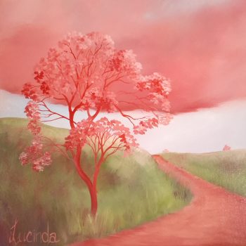 Lucinda Leveille Art | Lucinda's Studio | Brisbane Art | Australian Artist | Gold Coast Artist | Online Gallery