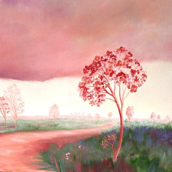 Lucinda Leveille Art | Lucinda's Studio | Brisbane Art | Australian Artist | Gold Coast Artist | Online Gallery