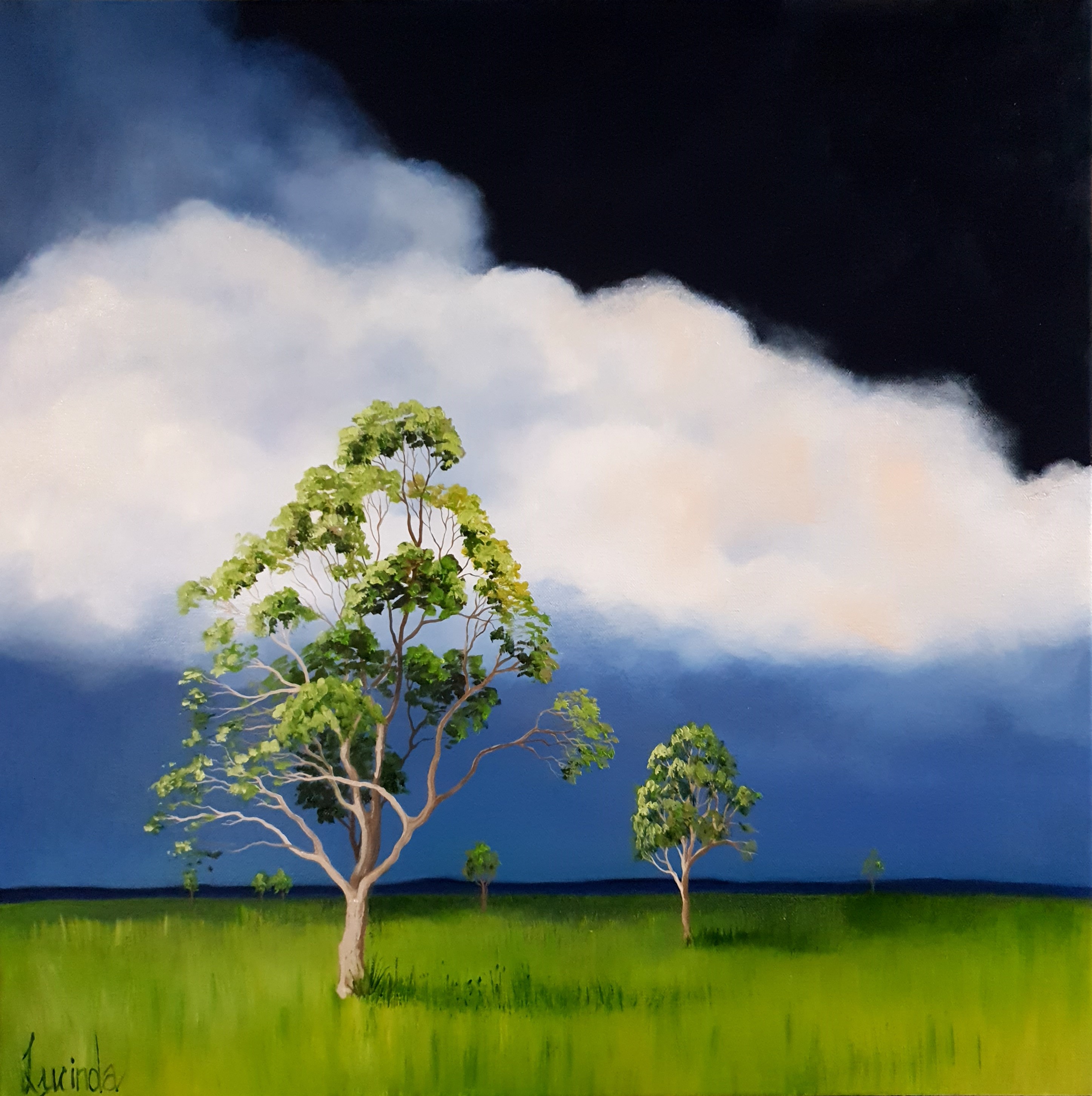 Lucinda Leveille Art | Lucinda's Studio | Brisbane Art | Australian Artist | Gold Coast Artist | Online Gallery