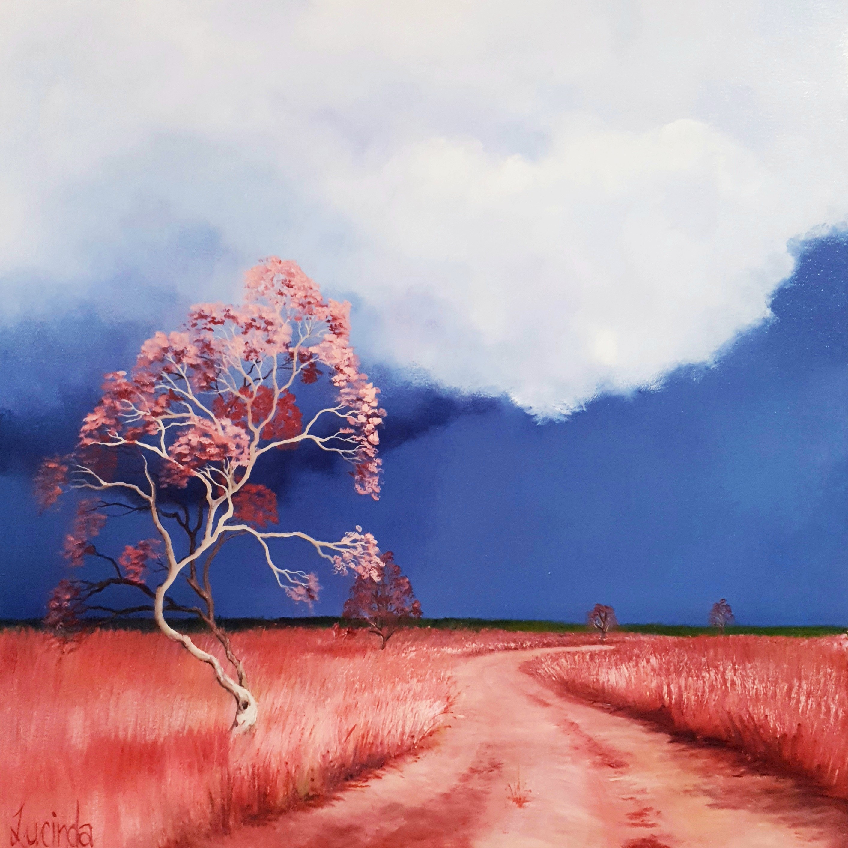 Lucinda Leveille Art | Lucinda's Studio | Brisbane Art | Australian Artist | Gold Coast Artist | Online Gallery \ red road