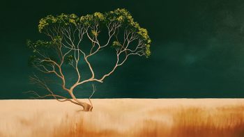 Lucinda Leveille | original art | gold coast art | landscapes | Brisbane artist | australian art | Australian Landscapes | clouds | trees | Brisbane artist | Gold Coast Artist