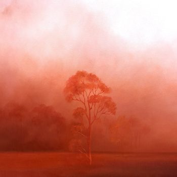 Lucinda Leveille Art | Lucinda's Studio | Brisbane Art | Australian Artist | Gold Coast Artist | Online Gallery | clouds | Australian landscape | gum trees | home art | decor