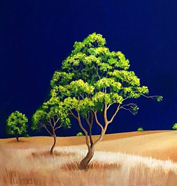 Lucinda Leveille Art | Lucinda's Studio | Brisbane Art | Australian Artist | Gold Coast Artist | Online Gallery | red road | Australian landscape | gum trees | road