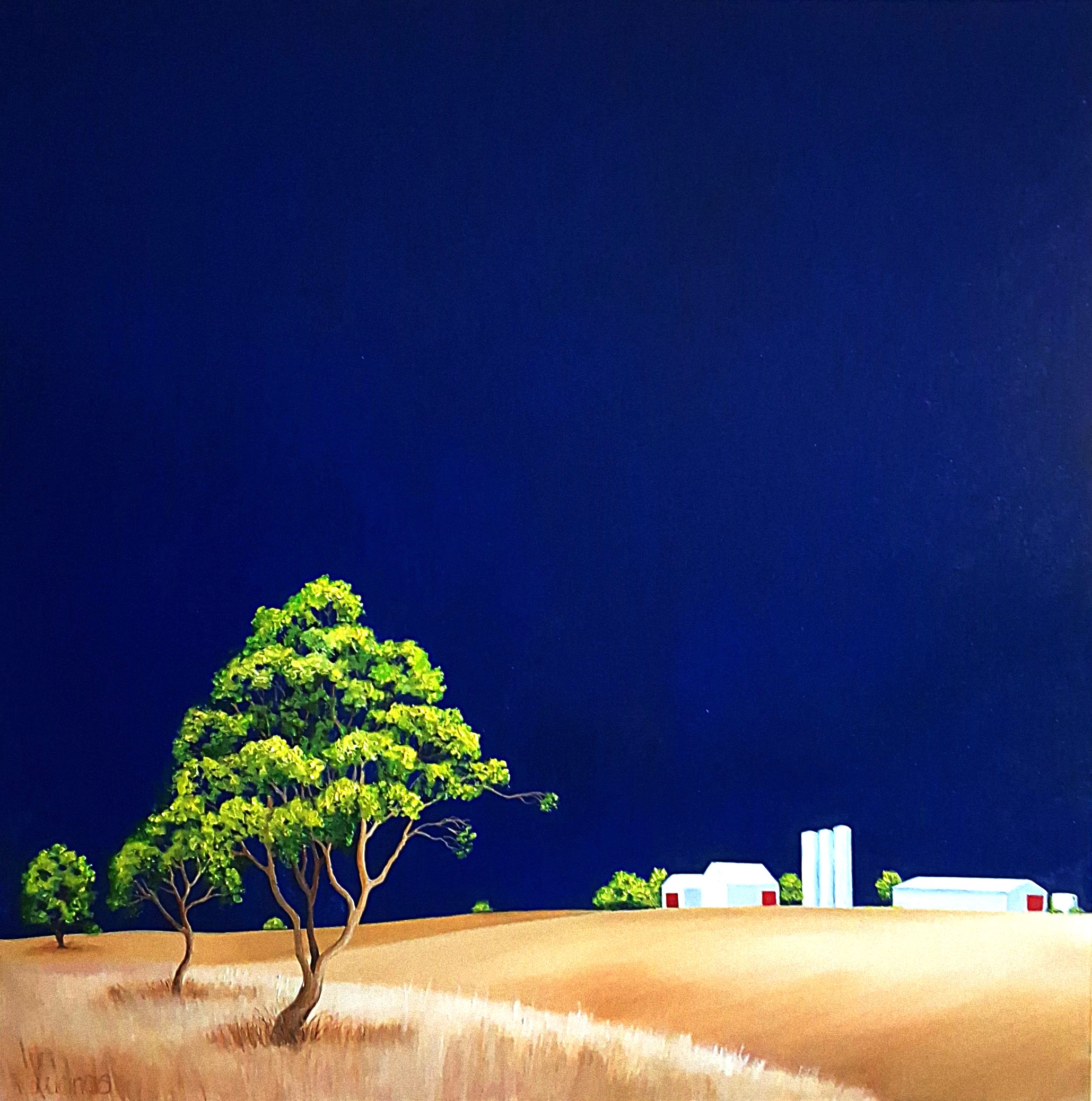 Lucinda Leveille Art | Lucinda's Studio | Brisbane Art | Australian Artist | Gold Coast Artist | Online Gallery | red road | Australian landscape | gum trees | road