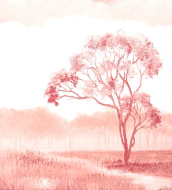 Lucinda Leveille Art | Lucinda's Studio | Brisbane Art | Australian Artist | Gold Coast Artist | Online Gallery | clouds | Australian landscape | gum trees | home art | decor