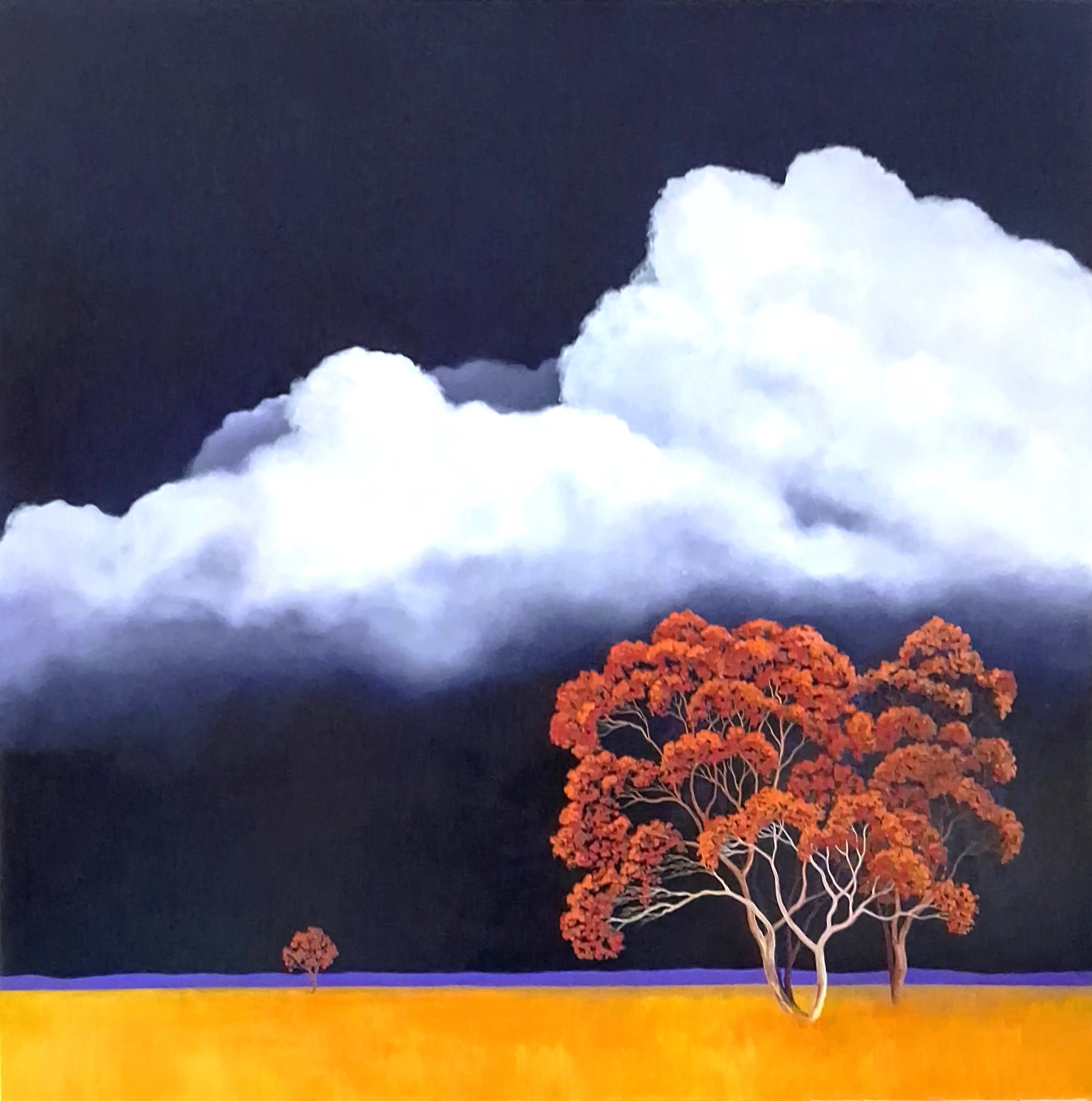 Lucinda Leveille Art | Lucinda's Studio | Brisbane Art | Australian Artist | Gold Coast Artist | Online Gallery | clouds | Australian landscape | gum trees | home art | decor