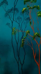 Lucinda Leveille Art | Lucinda's Studio | Brisbane Art | Australian Artist | Gold Coast Artist | Online Gallery | clouds | Australian landscape | gum trees | home art | decor | home art | above the canopy