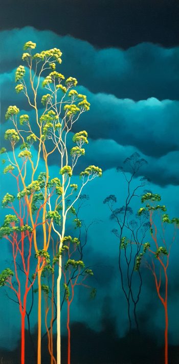 Lucinda Leveille Art | Lucinda's Studio | Brisbane Art | Australian Artist | Gold Coast Artist | Online Gallery | clouds | Australian landscape | gum trees | home art | decor | home art | above the canopy