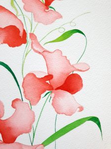 Lucinda Leveille Art | Lucinda's Studio | Brisbane Art | Australian Artist | Gold Coast Artist | Online Gallery | watercolor | flowers | fairies | delicate | original art