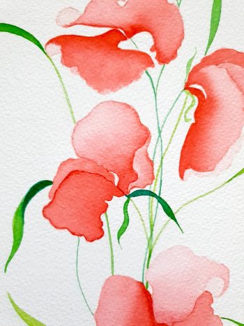 Lucinda Leveille Art | Lucinda's Studio | Brisbane Art | Australian Artist | Gold Coast Artist | Online Gallery | watercolor | flowers | fairies | delicate | original art