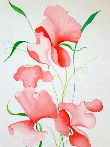 Lucinda Leveille Art | Lucinda's Studio | Brisbane Art | Australian Artist | Gold Coast Artist | Online Gallery | watercolor | flowers | fairies | delicate | original art