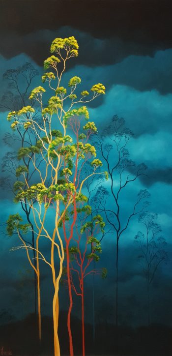 Lucinda Leveille Art | Lucinda's Studio | Brisbane Art | Australian Artist | Gold Coast Artist | Online Gallery | clouds | Australian landscape | gum trees | home art | decor | home art | above the canopy