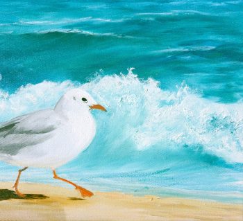 Lucinda Leveille Art | Lucinda's Studio | Brisbane Art | Australian Artist | Gold Coast Artist | Online Gallery | seascapes | beach | ocean | seagull