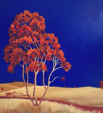 Lucinda Leveille Art | Lucinda's Studio | Brisbane Art | Australian Artist | Gold Coast Artist | Online Gallery | red road | Australian landscape | gum trees | road series