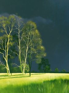 Lucinda Leveille Art | Lucinda's Studio | Brisbane Art | Australian Artist | Gold Coast Artist | Online Gallery | trees | Australian landscape | clouds | exploring the solitary | ready to hang | framed