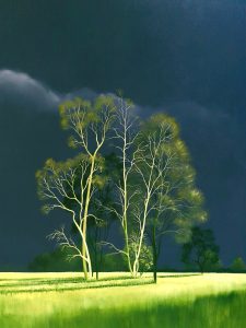 Lucinda Leveille Art | Lucinda's Studio | Brisbane Art | Australian Artist | Gold Coast Artist | Online Gallery | trees | Australian landscape | clouds | exploring the solitary | ready to hang | framed