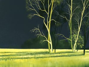 Lucinda Leveille Art | Lucinda's Studio | Brisbane Art | Australian Artist | Gold Coast Artist | Online Gallery | trees | Australian landscape | clouds | exploring the solitary | ready to hang | framed