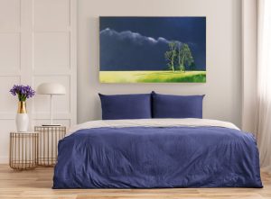 Lucinda Leveille Art | Lucinda's Studio | Brisbane Art | Australian Artist | Gold Coast Artist | Online Gallery | trees | Australian landscape | clouds | exploring the solitary | ready to hang | framed