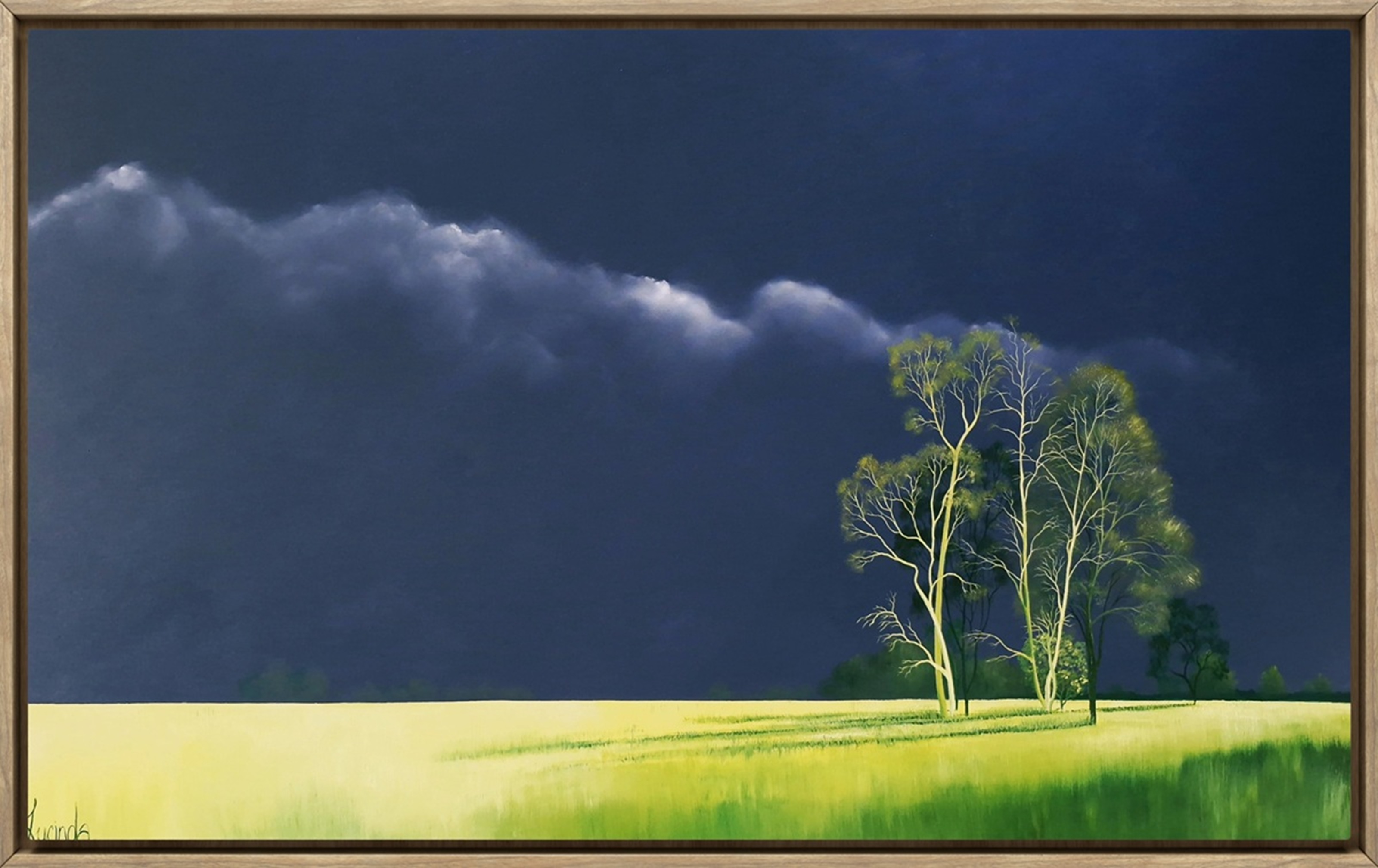 Lucinda Leveille Art | Lucinda's Studio | Brisbane Art | Australian Artist | Gold Coast Artist | Online Gallery | trees | Australian landscape | clouds | exploring the solitary | ready to hang | framed