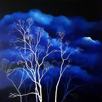 Lucinda Leveille Art | Lucinda's Studio | Brisbane Art | Australian Artist | Gold Coast Artist | Online Gallery | clouds | Australian landscape | gum trees | home art | decor | home art | above the canopy