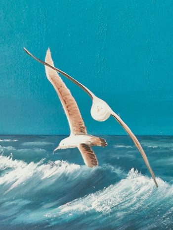 Lucinda Leveille Art | Lucinda's Studio | Brisbane Art | Australian Artist | Gold Coast Artist | Online Gallery | seascapes | beach | ocean | albatross | bird | ready to hang