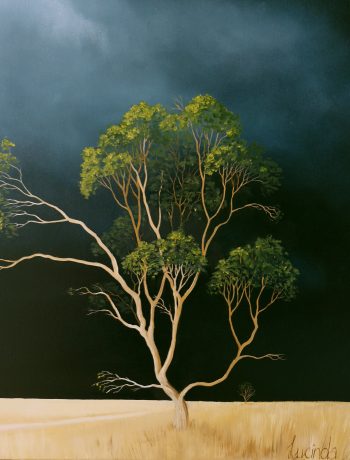 Lucinda Leveille Art | Lucinda's Studio | Brisbane Art | Australian Artist | Gold Coast Artist | Online Gallery | trees | Australian landscape | clouds | exploring the solitary | ready to hang | framed