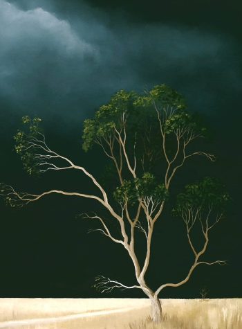 Lucinda Leveille Art | Lucinda's Studio | Brisbane Art | Australian Artist | Gold Coast Artist | Online Gallery | trees | Australian landscape | clouds | exploring the solitary | ready to hang | framed