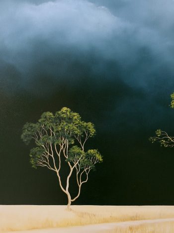 Lucinda Leveille Art | Lucinda's Studio | Brisbane Art | Australian Artist | Gold Coast Artist | Online Gallery | trees | Australian landscape | clouds | exploring the solitary | ready to hang | framed