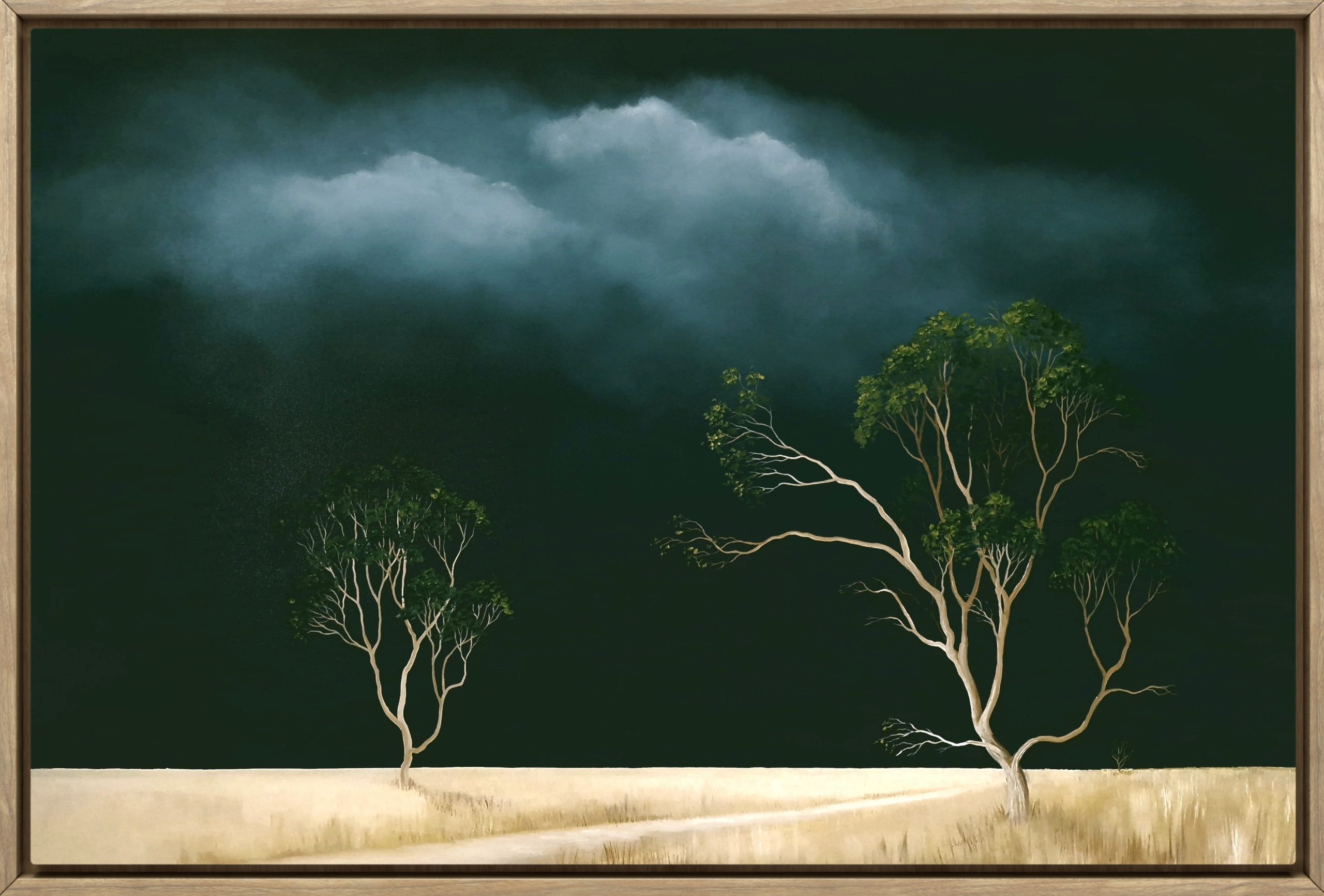 Lucinda Leveille Art | Lucinda's Studio | Brisbane Art | Australian Artist | Gold Coast Artist | Online Gallery | trees | Australian landscape | clouds | exploring the solitary | ready to hang | framed