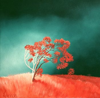 Lucinda Leveille Art | Lucinda's Studio | Brisbane Art | Australian Artist | Gold Coast Artist | Online Gallery | trees | Australian landscape | clouds | exploring the solitary | ready to hang | framed | home decor | decorate | interiors