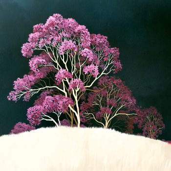 Lucinda Leveille Art | Lucinda's Studio | Brisbane Art | Australian Artist | Gold Coast Artist | Online Gallery | trees | Australian landscape | clouds | exploring the solitary | ready to hang | framed