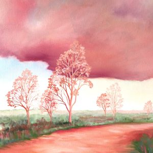 Lucinda Leveille Art | Lucinda's Studio | Brisbane Art | Australian Artist | Gold Coast Artist | Online Gallery | art classes | art workshops | Lucinda Leveille