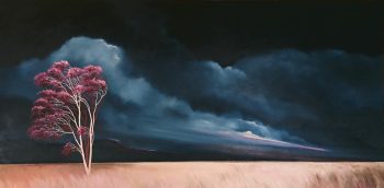 Lucinda Leveille Art | Lucinda's Studio | Brisbane Art | Australian Artist | Gold Coast Artist | Online Gallery | trees | Australian landscape | clouds | exploring the solitary | ready to hang