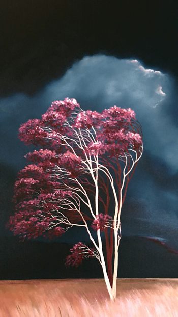 Lucinda Leveille Art | Lucinda's Studio | Brisbane Art | Australian Artist | Gold Coast Artist | Online Gallery | trees | Australian landscape | clouds | exploring the solitary | ready to hang