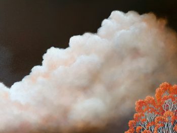 Lucinda Leveille Art | Lucinda's Studio | Brisbane Art | Australian Artist | Gold Coast Artist | Online Gallery | trees | Australian landscape | clouds | exploring the solitary | ready to hang