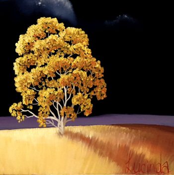 Lucinda Leveille Art | Lucinda's Studio | Brisbane Art | Australian Artist | Gold Coast Artist | Online Gallery | trees | Australian landscape | clouds | exploring the solitary | ready to hang