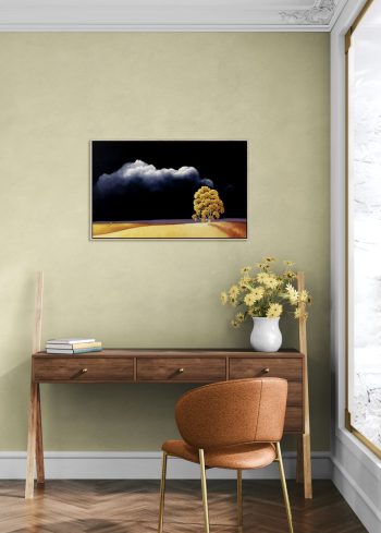 Lucinda Leveille Art | Lucinda's Studio | Brisbane Art | Australian Artist | Gold Coast Artist | Online Gallery | trees | Australian landscape | clouds | exploring the solitary | ready to hang