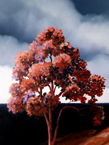 Lucinda Leveille Art | Lucinda's Studio | Brisbane Art | Australian Artist | Gold Coast Artist | Online Gallery | trees | Australian landscape | clouds | ready to hang | original art