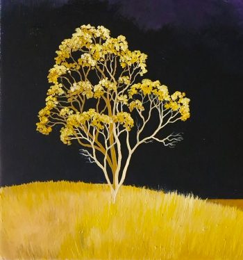 Lucinda Leveille Art | Lucinda's Studio | Brisbane Art | Australian Artist | Gold Coast Artist | Online Gallery | trees | Australian landscape | clouds | exploring the solitary | ready to hang