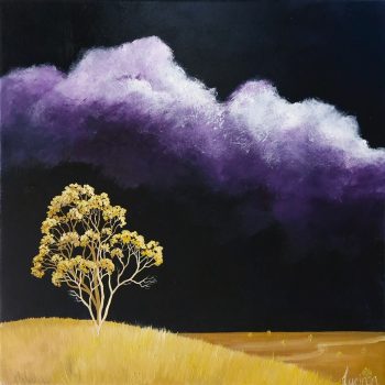 Lucinda Leveille Art | Lucinda's Studio | Brisbane Art | Australian Artist | Gold Coast Artist | Online Gallery | trees | Australian landscape | clouds | exploring the solitary | ready to hang