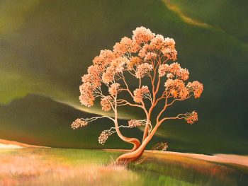 Lucinda Leveille Art | Lucinda's Studio | Brisbane Art | Australian Artist | Gold Coast Artist | Online Gallery | trees | Australian landscape | clouds | exploring the solitary | ready to hang