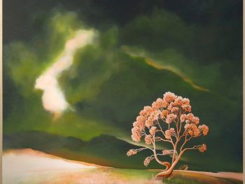 Lucinda Leveille Art | Lucinda's Studio | Brisbane Art | Australian Artist | Gold Coast Artist | Online Gallery | trees | Australian landscape | clouds | exploring the solitary | ready to hang