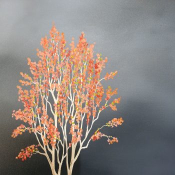 Lucinda Leveille Art | Lucinda's Studio | Brisbane Art | Australian Artist | Gold Coast Artist | Online Gallery | trees | Australian landscape | clouds | exploring the solitary | ready to hang