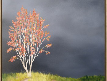 Lucinda Leveille Art | Lucinda's Studio | Brisbane Art | Australian Artist | Gold Coast Artist | Online Gallery | trees | Australian landscape | clouds | exploring the solitary | ready to hang