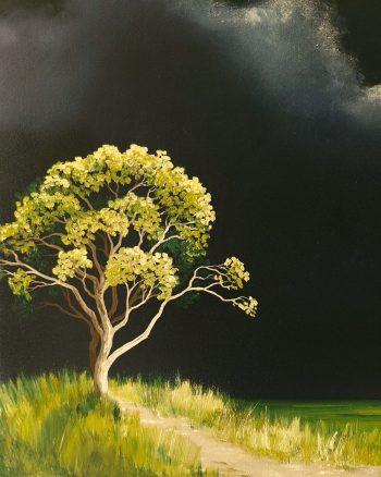 Lucinda Leveille Art | Lucinda's Studio | Brisbane Art | Australian Artist | Gold Coast Artist | Online Gallery | trees | Australian landscape | clouds | exploring the solitary | ready to hang
