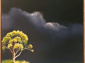 Lucinda Leveille Art | Lucinda's Studio | Brisbane Art | Australian Artist | Gold Coast Artist | Online Gallery | trees | Australian landscape | clouds | exploring the solitary | ready to hang